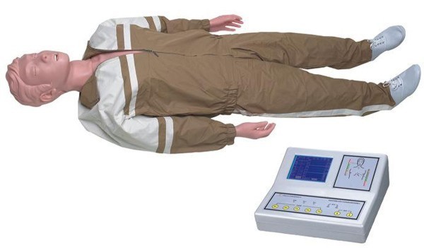 2010版心肺復(fù)蘇模型