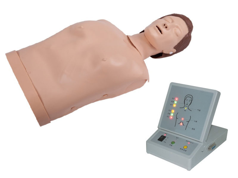 高級半身心肺復蘇訓練模擬人