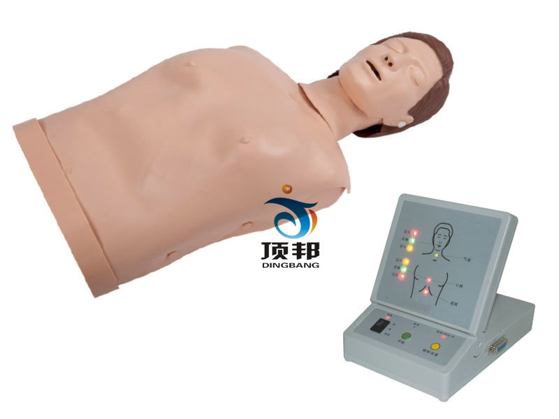 半身心肺復蘇訓練模擬人