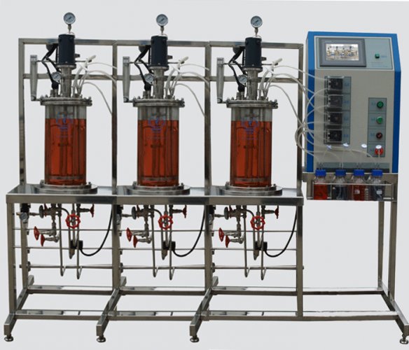 多聯(lián)平行機械攪拌玻璃發(fā)酵罐
