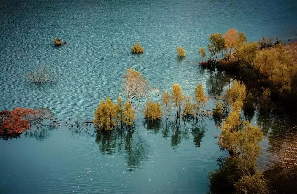 堅強是你唯一的選擇(圖2)