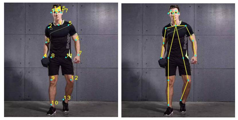 人體姿態(tài)識別